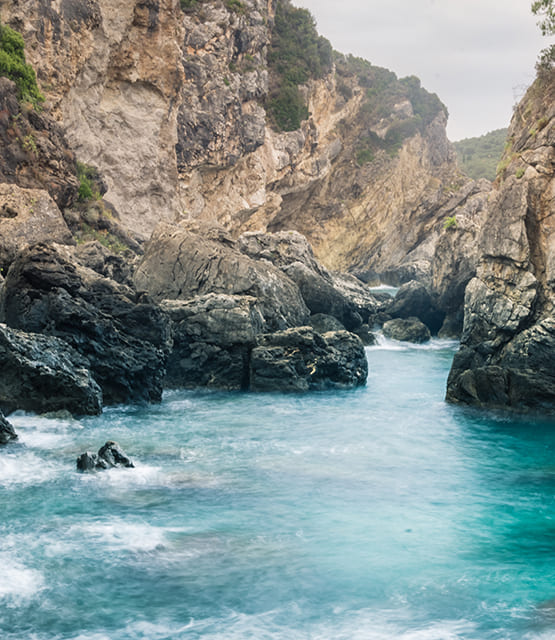 测试页面